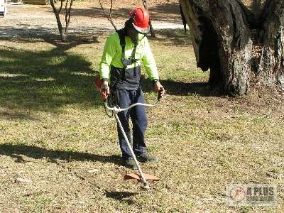 Handle Bar Brushcutter in Action