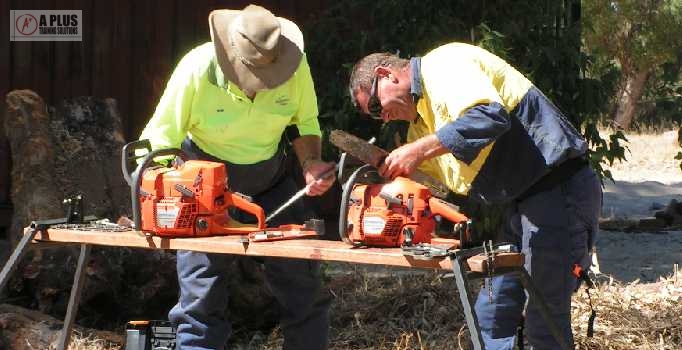 Basic
              Chainsaw Training Course Maintenance