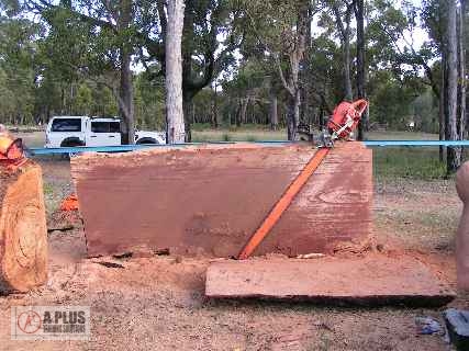 Huge Marri Slabs Cut with Westford Rail Mill